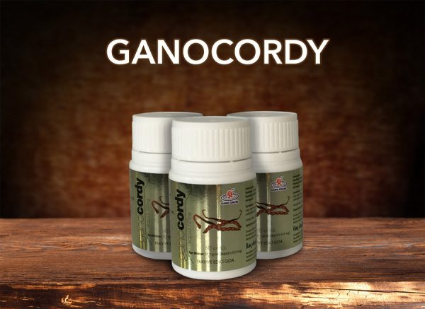 GANOCORDY